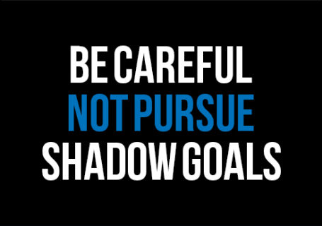 The Pursuit of Shadow Goals